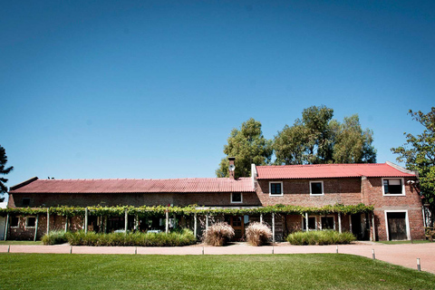 Montevideo: Spinoglio and Bouza Wineries tour with tasting