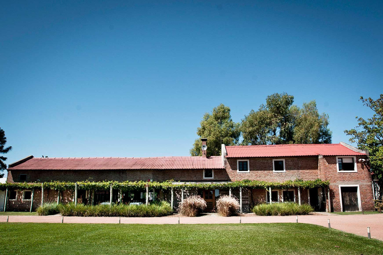 Montevideo: Spinoglio and Bouza Wineries tour with tasting