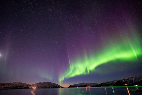 Tromsø: Northern Lights Tour with Hot Drinks and Snacks