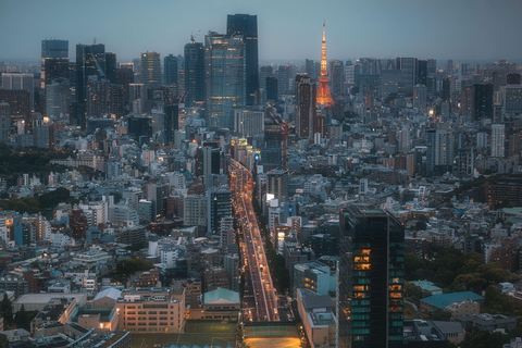 Tokyo Tour: Local Attractions, visit of Mosque & Halal Lunch