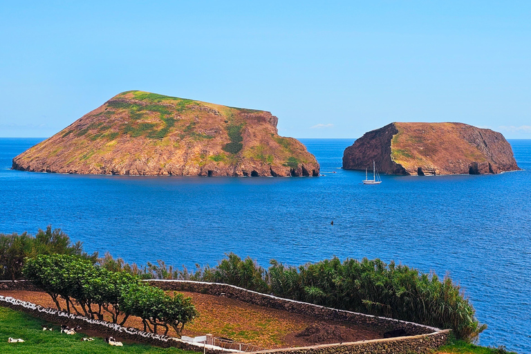 Half-day tour: Sierra del Cume and East Coast