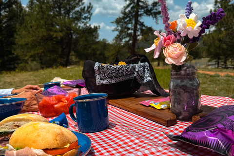 Denver: Llama Lunch in the Rocky Mountains