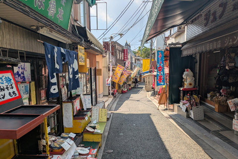 Nara: Mt. Ikoma Guided Hiking Tour with Cable Car and Views