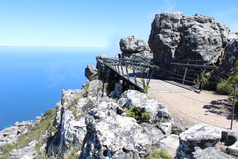 Cape Town: Table Mountain, Bo-Kaap, & Boulders Beach Tour