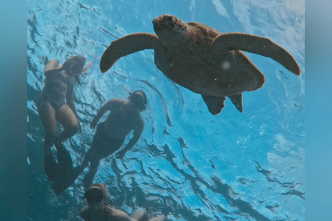 Gili eiland : Groep/Share Snorkeltour 3 gili eilandenGroep/Share Snorkeltour per Glazen Bodem Boot