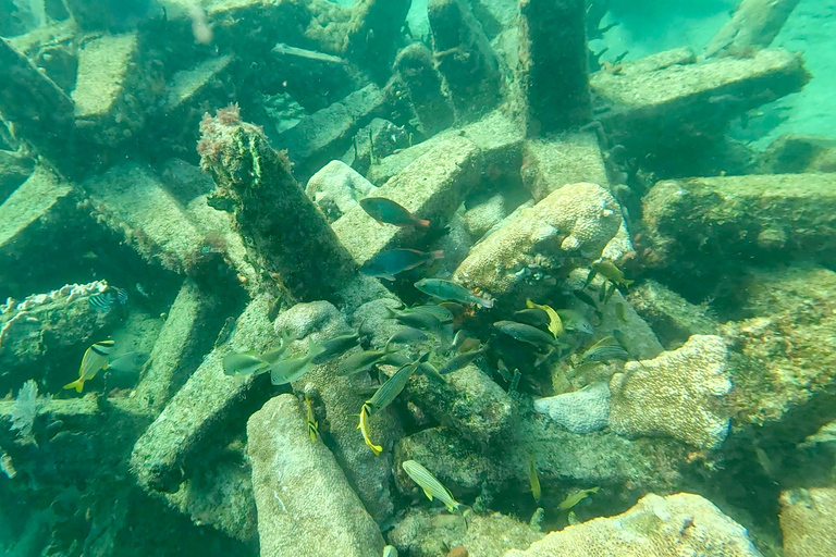 Ft Lauderdale: Combo Deal Snorkel Reefs, Kayak/SUP Mangroves