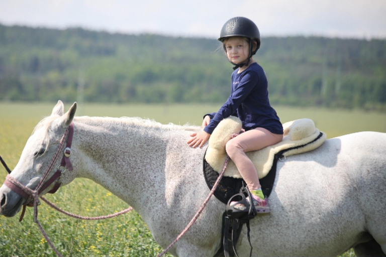 جولة لركوب الخيل بالقرب من براغجولة ركوب الخيل بالقرب من براغ
