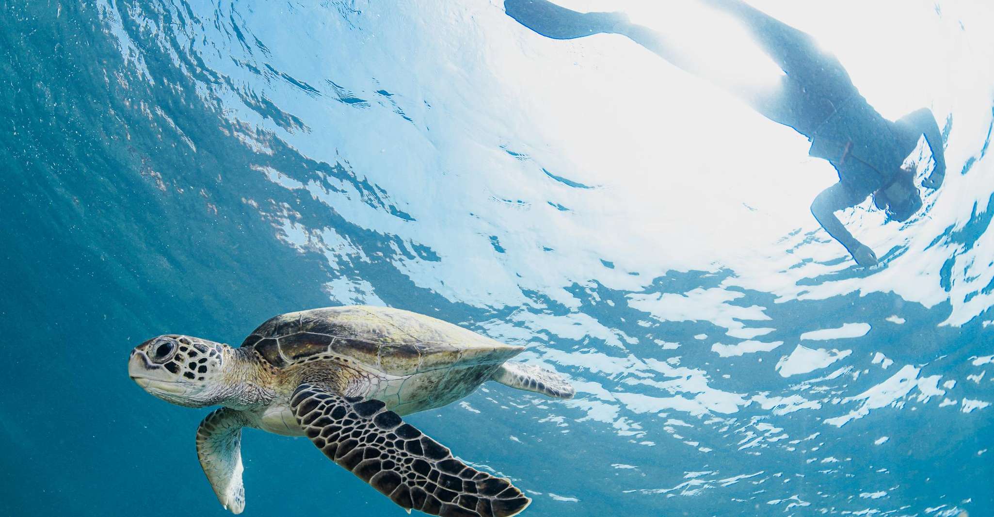 MUSCAT, SNORKELING IN DAYMANIYAT ISLANDS - Hizvo