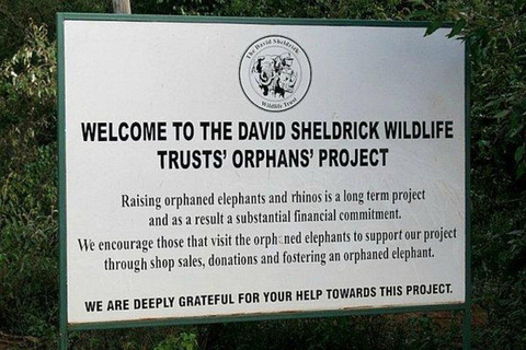 Nairobi National Park&Elephant Orphanage&Giraffe Centre Tour