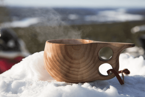 Rovaniemi: Safari Sprint in motoslittaSprint in motoslitta con ritiro nell'area di Rovaniemi