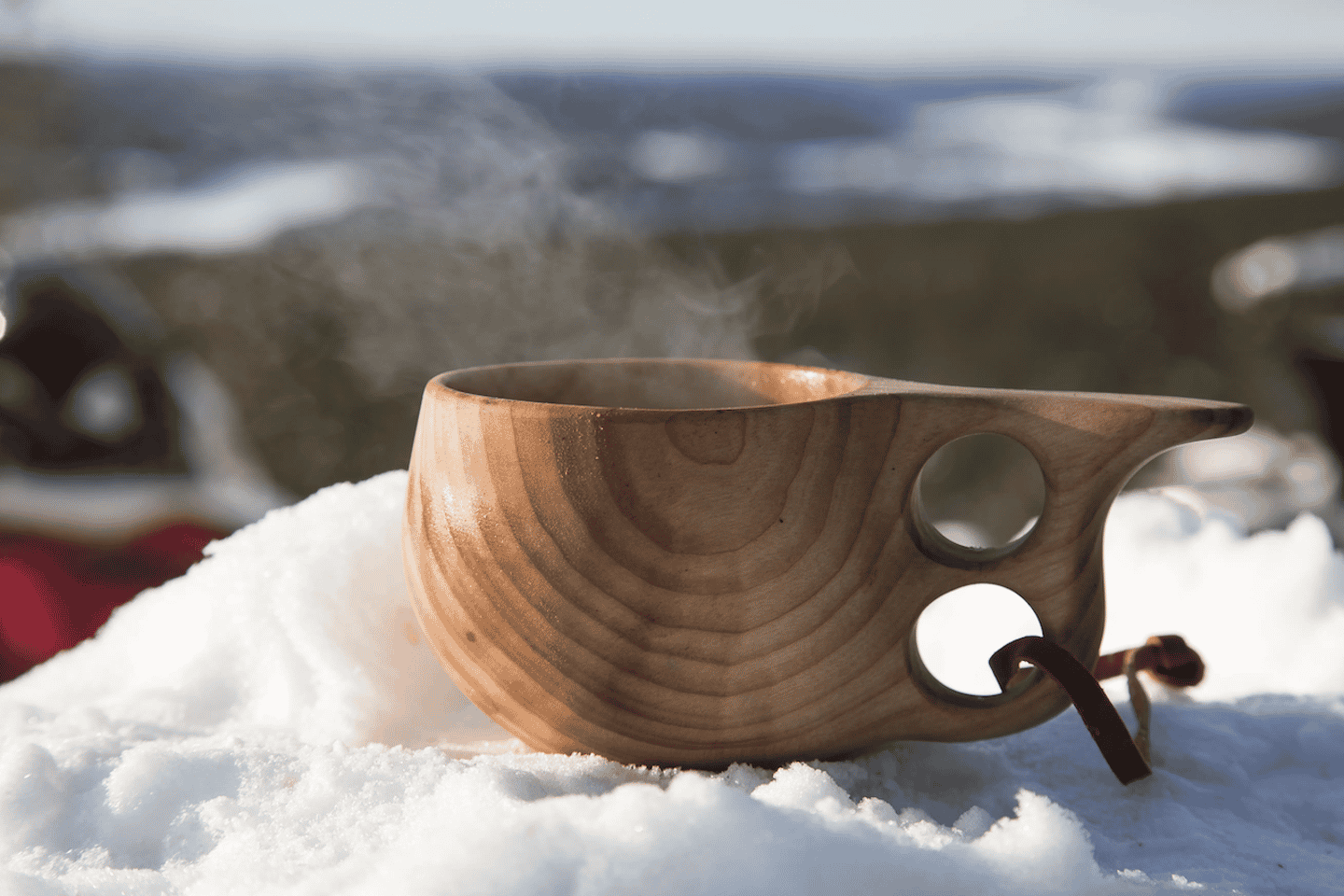 Rovaniemi: Snowmobile Sprint Safari