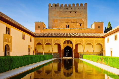 Best of Granada: Private Walking Tour with a Local Private City Tour - 6Hr