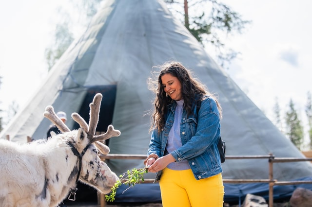 Summer Magic Reindeer Encounter at Santa Claus Village