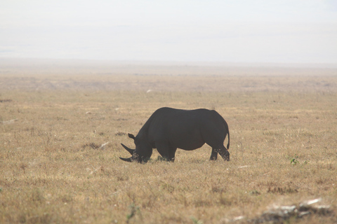 Cheap 2-night Serengeti Experience
