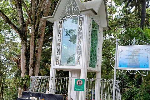 PEREIRA: VISIT TO THE SANCTUARY OF THE VIRGIN OF JORDAN + TRANSPORTATION AND LUNCH