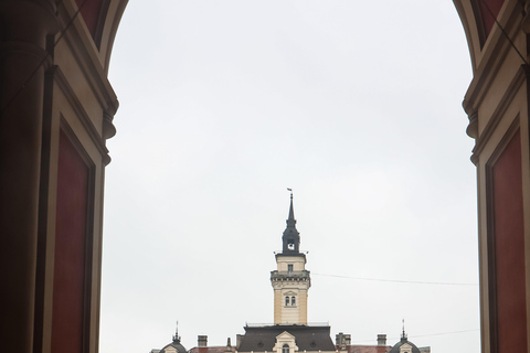 From Belgrade: Private Full-day Novi Sad & Sremski Karlovci Full-Day Private Tour