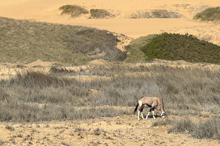 Walvisbay: Sandwich Harbour 4x4 Tour-Unparalleled Experience