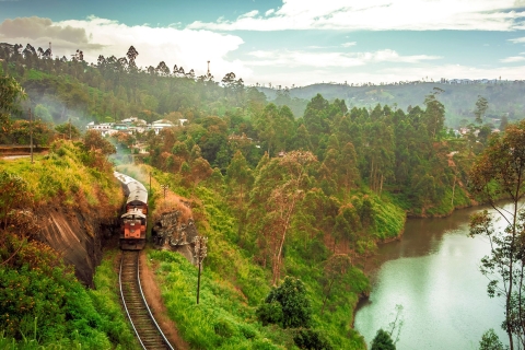 Billet de train panoramique de première classe Ella de/à Kandy