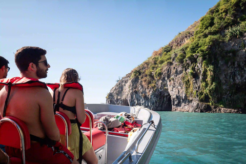 Calheta Madeira: Wal- und Delfinbeobachtungstour mit dem Schnellboot