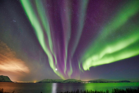 Tromsø : Safari en motoneige avec séjour à Aurora Crystal Lavvo