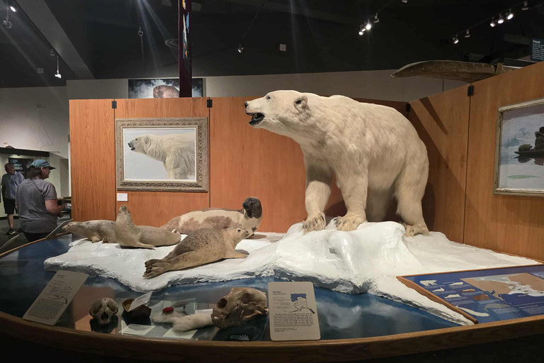 Fairbanks: City Highlights Tour with Museum Entry