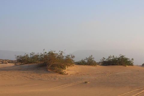 Agadir: Quad Biking, Canyon Visit & Sandboarding with Dinner Agadir: Quad Biking, Canyon Visit & Sandboarding with Dinner