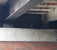 Manchester's Rebirth and Renewal, A Self Guided Audio Tour - Housity