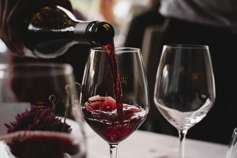 Queenstown: Premium Full-Day Central Otago Wine Tasting Tour