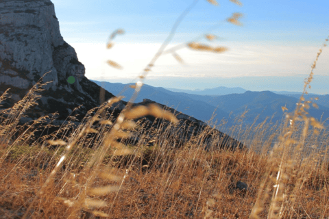 Tour guidato a piedi sulle orme di Marcel Pagnol