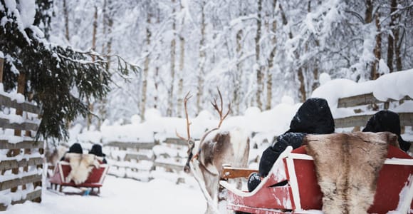 Rovaniemi: Husky and Reindeer Experience