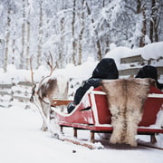 Rovaniemi: Granja de huskys y experiencia con renos