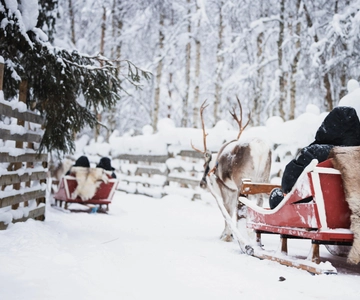 Rovaniemi: Huskyfarm och renupplevelse