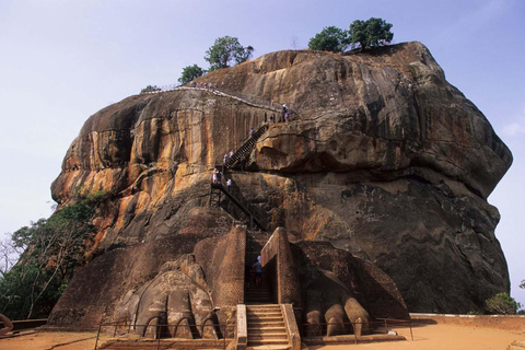 Sigiriya Hike, Village Safari & Dambulla Temple Tuk Tuk Tour Dambulla: Popham’s Arboretum & Cave Temple Tuk Tuk Tour