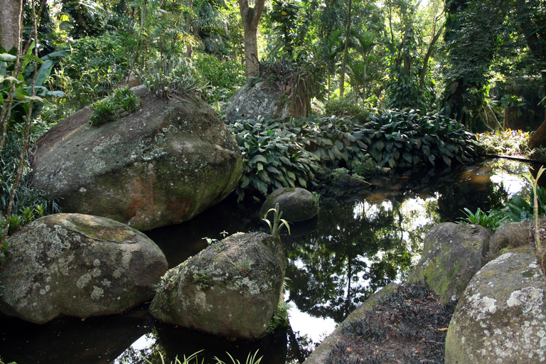 Rio de Janeiro: Sitio Roberto Burle Marx Guidad tur