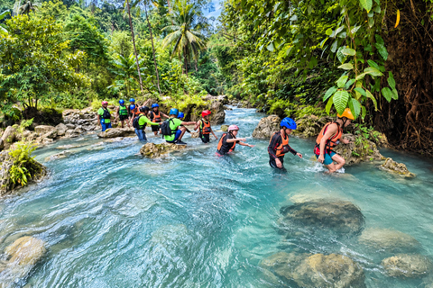 Cebu: Swim with Gentle Giants, Twin Falls & Sardine Run