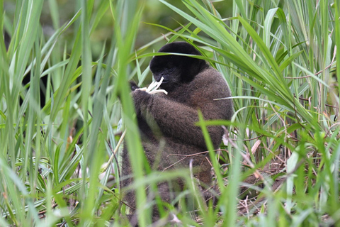 From Cusco: Manu Park 3-day ecotourism and adventure From Cusco: Manu Park 3-day ecotourism and adventure