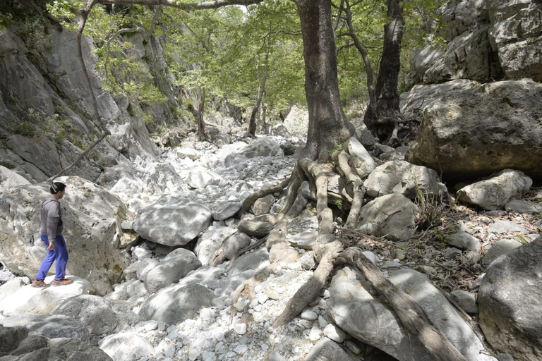 Kardamili : Wandern in der Ridomo-Schlucht