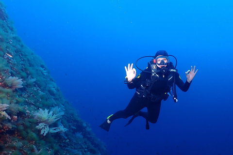 Menorca: Baptism Scuba Diving in Marine Reserve