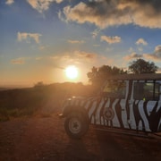 Algarve: Zebra-Jeep-Safari bei Sonnenuntergang mit Sekt