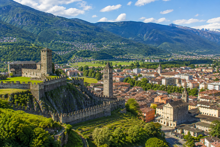 From Basel: Private Day Trip to Gotthard Pass & Bellinzona