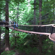 Tauranga: Rotorua Redwoods Tour & Maori Village Experience Tauranga: Rotorua Redwoods Tour & Maori Village Experience
