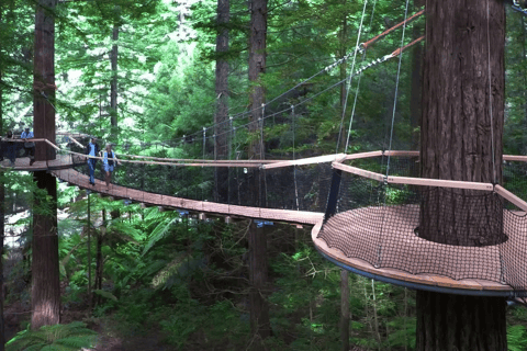 Tauranga: Rotorua Redwoods Tour & Maori Village Experience