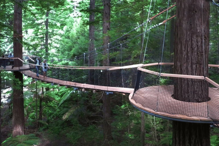 Tauranga: Rotorua Redwoods Tour & Maori Village Experience