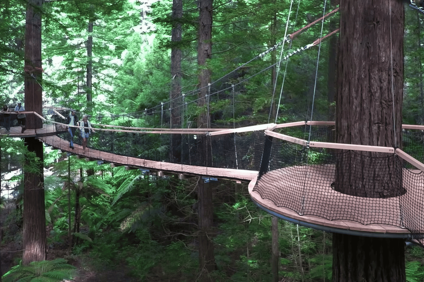 Tauranga: Rotorua Redwoods Tour & Maori Village Experience - Tauranga: Rotorua Redwoods Tour & Maori Village Experience