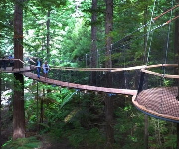Tauranga: Rotorua Redwoods Tour & Maori Village Experience
