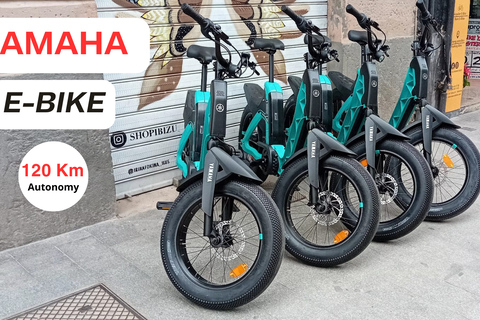 Valência: Da cidade antiga às maravilhas modernas &quot;Premium EBike Yamaha&quot;Tour particular da Cidade Velha às Maravilhas Modernas Premium EBike Yamaha