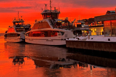Oslo: Oslofjord Electric Boat Cookie Cruise
