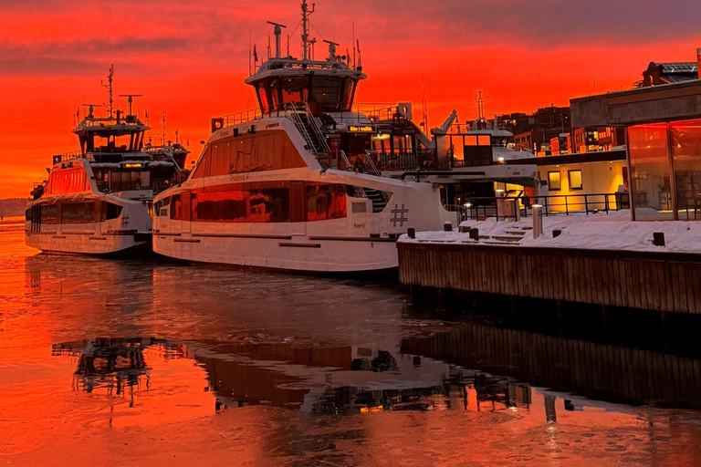 Oslo: Oslofjord Electric Boat Cookie Cruise