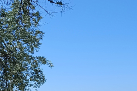 Thessaloniki: Halkidiki Beach-Hopping with Swimming