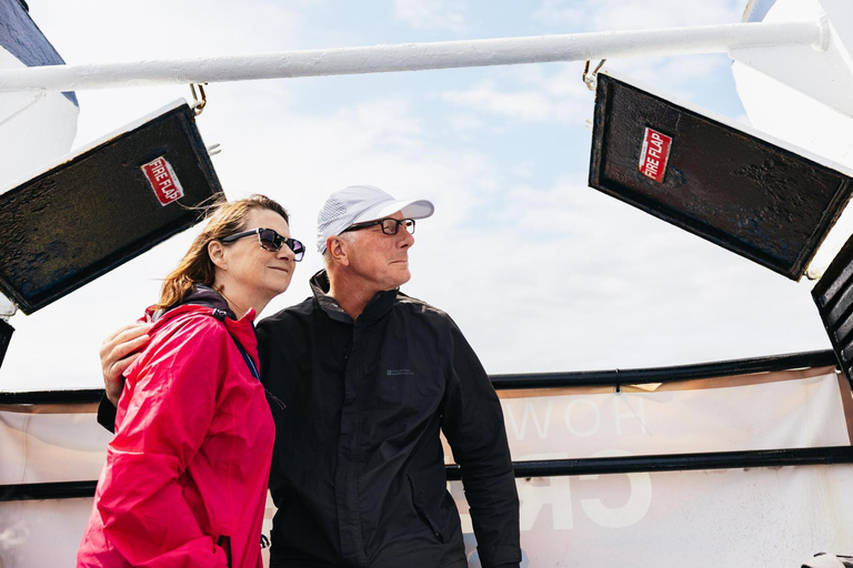 Dublin: Howth Cliffs and Lighthouse Cruise